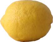 CITRON SPANIEN KL. 1