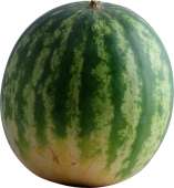 VANDMELON