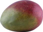 MANGO FORMODNET