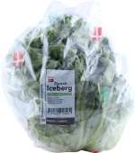 ICEBERG SALAT