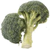 ØKO. BROCCOLI
