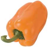 GUL/ORANGE PEBER