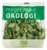 ØKO. ÆRTESKUD SALAT