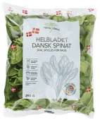 SPINAT