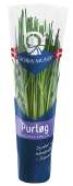 PURLØG