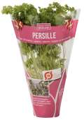 ØKO. PERSILLE