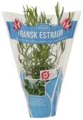 ØKO. ESTRAGON