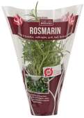 ØKO. ROSMARIN