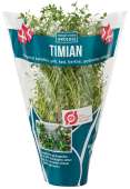 ØKO. TIMIAN