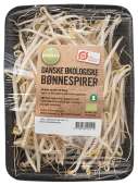 BØNNESPIRER