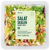 SALATSKÅLEN