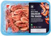 SKAGENS SKALREJER